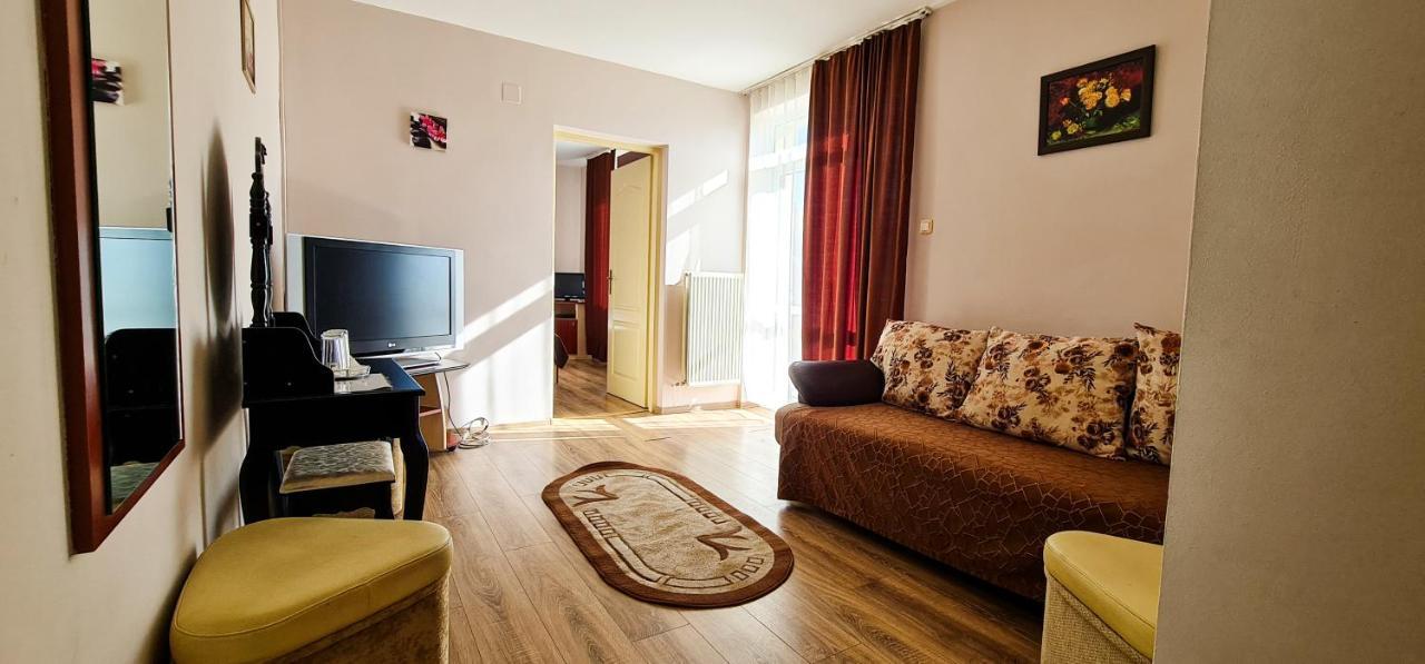 Vila Europa Cluj-Napoca Extérieur photo