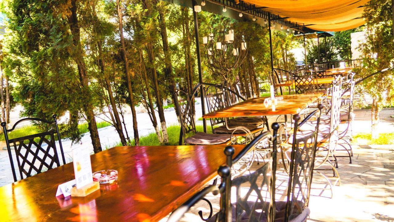 Vila Europa Cluj-Napoca Extérieur photo