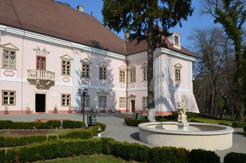 Vila Europa Cluj-Napoca Extérieur photo